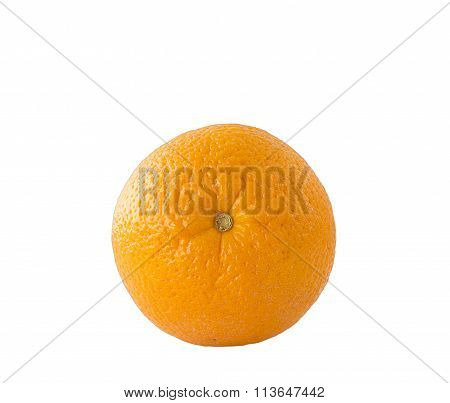 orange on white background