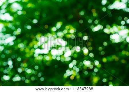 Green bokeh background
