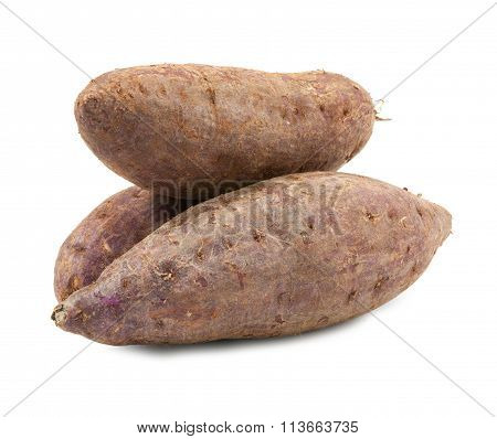 Tapioca Plants Cassava Closeup
