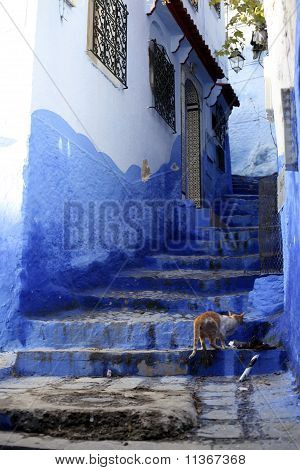 Passi blu, Chefchouan, Marocco