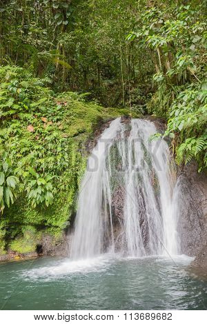 Beautiful waterfall in a rainforest. Cascades aux Ecrevisses