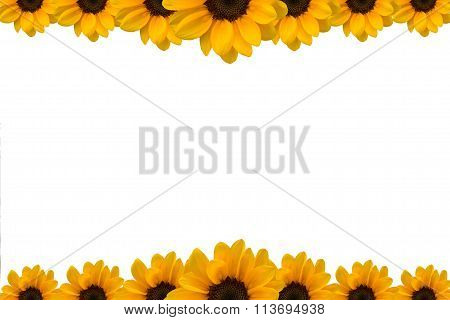 Sunflower Presentation Template With White Background