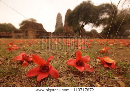 Asia Thailand Ayuthaya Wat Ratburana