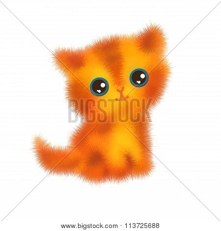 Red  Cat