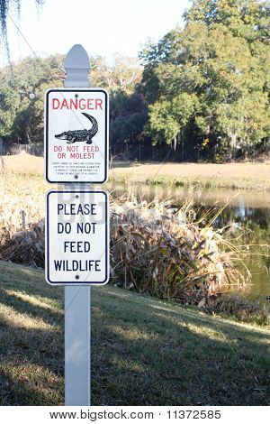 Sinal de Gator
