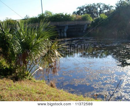 Lagoa