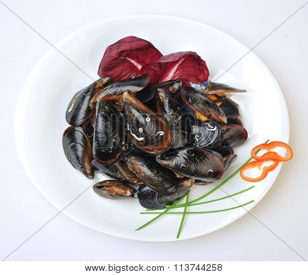 Sea Food Raw Mussels With The Shell
