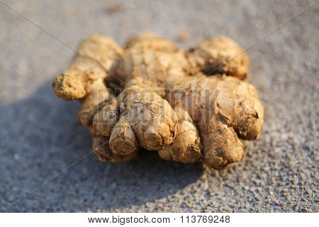 Fresh Ginger