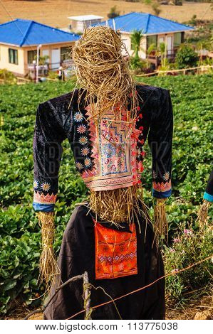 A Scarecrow On Farm