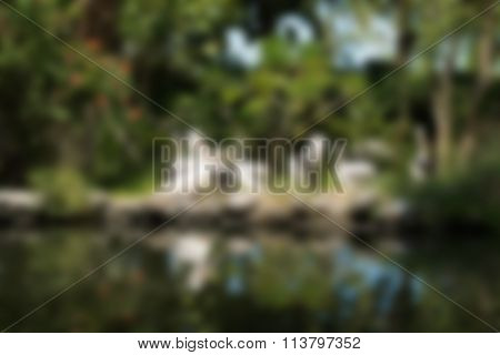 Bird park Bali Indonesia Travel theme blur background