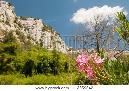 Cavagrande Valley, Sicily
