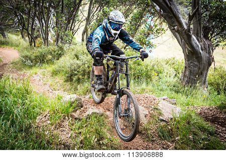 Mountain Bike Riders at Mt Buller