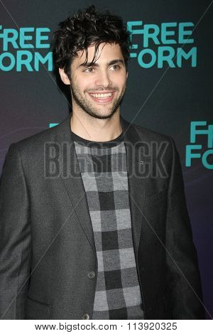 LOS ANGELES - JAN 9:  Matthew Daddario at the Disney ABC TV 2016 TCA Party at the The Langham Huntington Hotel on January 9, 2016 in Pasadena, CA