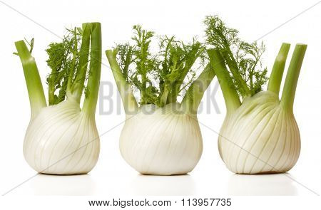 Fresh fennel bulb isolated on white background close up