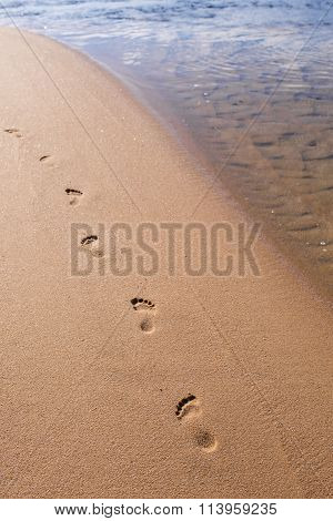Footprints in the sand on a sunny beach