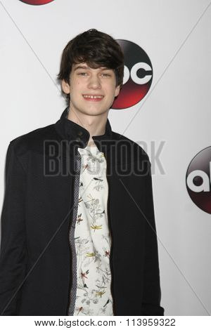 LOS ANGELES - JAN 9:  Liam James at the Disney ABC TV 2016 TCA Party at the The Langham Huntington Hotel on January 9, 2016 in Pasadena, CA