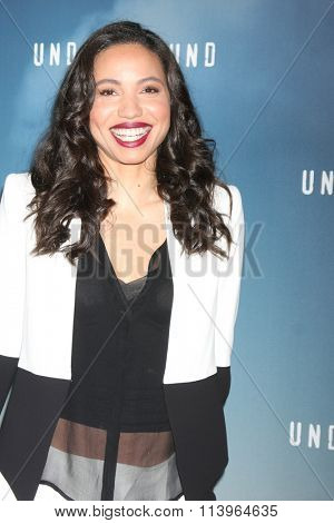 LOS ANGELES - JAN 8:  Jurnee Smollett-Bell at the Underground WGN Winter 2016 TCA Photo Call at the The Langham Huntington Hotel on January 8, 2016 in Pasadena, CA