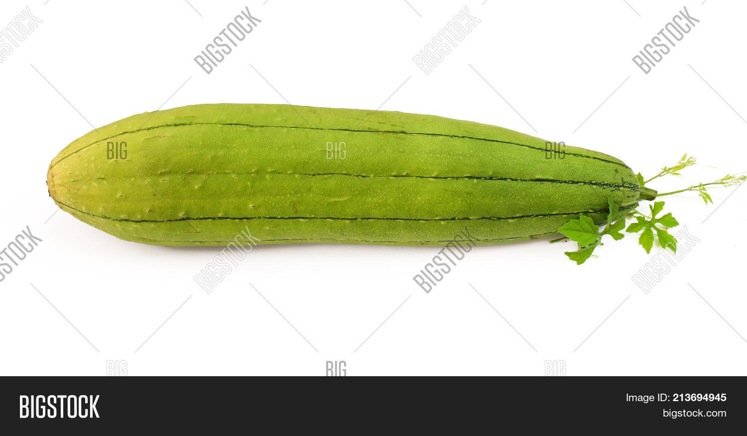 Fresh Ridge Gourd Image & Photo (Free Trial) Bigstock