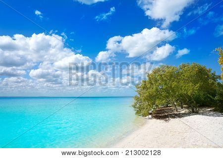 Holbox Island beach mangroove in Quintana Roo of Mexico