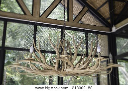 Antler chandelier decorated in glass room stock phto