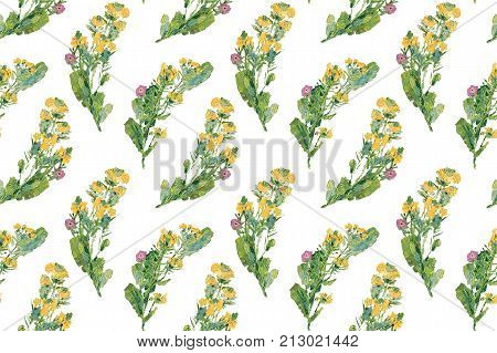Vintage wild flowers. Seamless pattern with oil painted melilot on white background