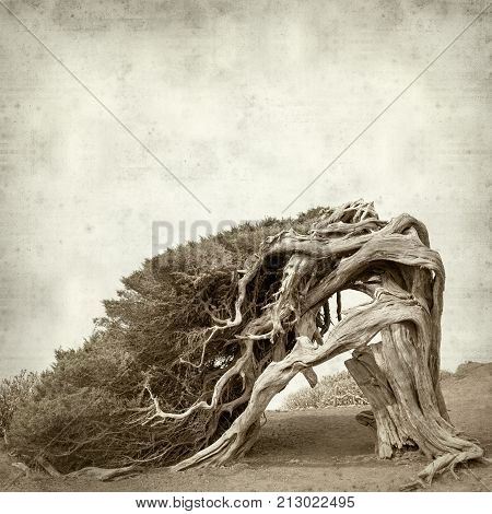 Textured Old Paper Background