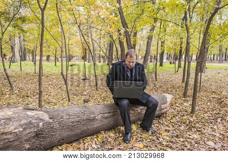Businessman Having A Laptop In The Park In The Fall. Young Man Sitting On Tree In Park With Laptop O