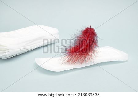 A photo of red feather flying above the menstrual sanitary daily woman pad. Hygiene conceptual photo. Woman critical days menstruation cycle. Menstruation sanitary woman hygiene for blood period