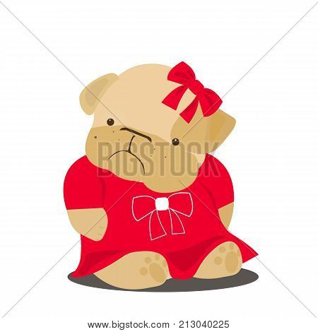 Vector flat illustration. Cute puppy bulldog. Ebglish bulldog-girl.