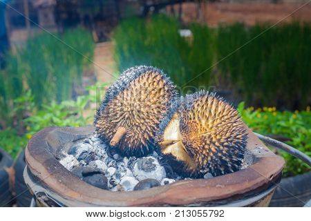 Barbecue Durian On Stove.