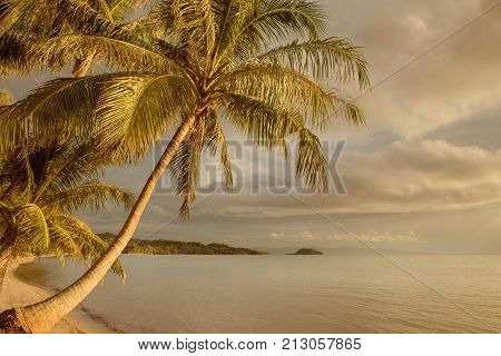 view of nice tropical shore during colorful sunset