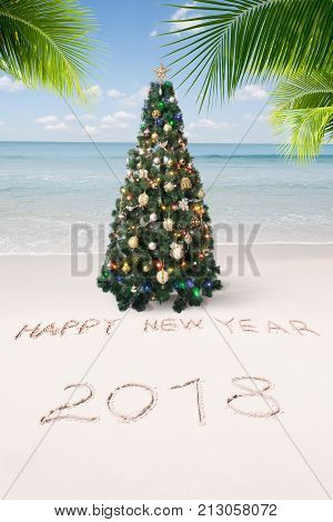 View of nice Christmas and  new year theme  tropical beach