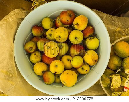 real organic apples, rotten and wormy apples, apple pictures without hormone and pesticide