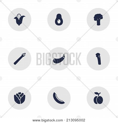 Collection Of Celeriac, Maize, Tree And Other Elements.  Set Of 9 Food Icons Set.