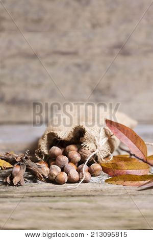 organic hazelnuts in bag on wooden table