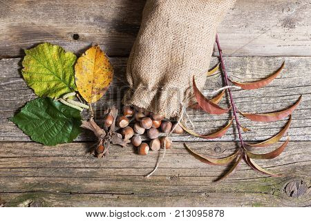 organic hazelnuts in bag on wooden table