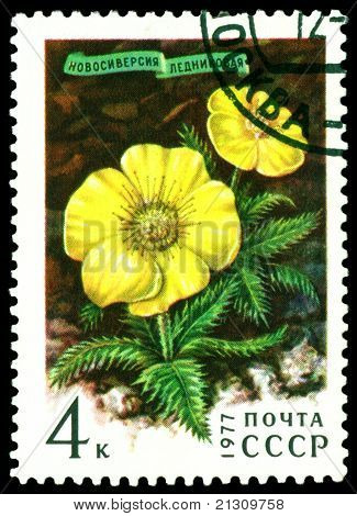 Timbre-poste vintage.  Novosieversia Glactalis.