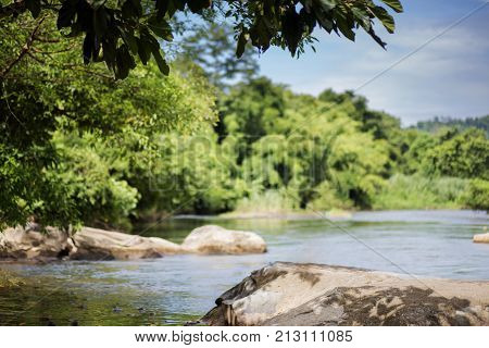 landscape with mountains, forest and a river in front