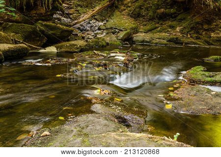 Fast mountain creeck or river in green wet forest