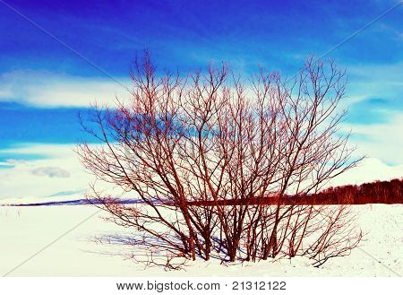 Inverno russo