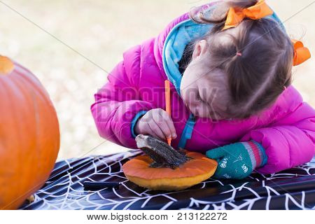 Pumpkin Carving