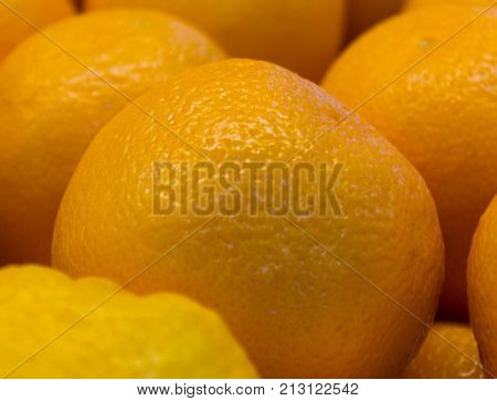 Citrus fruit, close-up, big juicy oranges,orange background