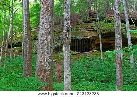 Mossy rock cliff and woodland scenery of Turkey Run State Park in Indiana