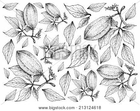 Vegetable Salad Illustration Background Pattern of Hand Drawn Sketch Delicious Fresh Green Fluted Pumpkin Plants Isolated on White Background.