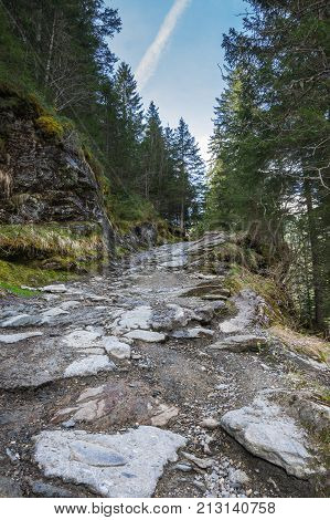 Panoramic view of Alps the highest and most extensive mountain range system that lies entirely in Europe