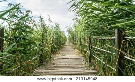 Kayseri Sultansazligi - August 2017: Beautiful landscape and Sultanmarshes bird paradise next to erciyes mountain Kayseri