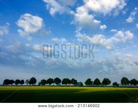 Beautiful green flat landscape with deep blue sky and clouds in the Belgian Kempen, province Antwerpen, Turnhout