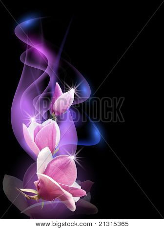 Magnolia und Rauch
