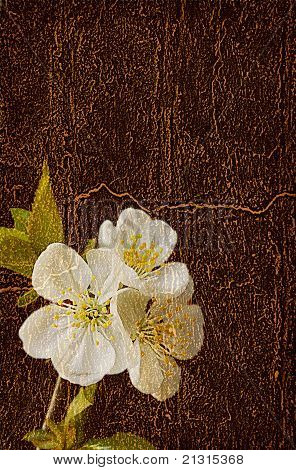 Hölzerne Struktur mit Blumen