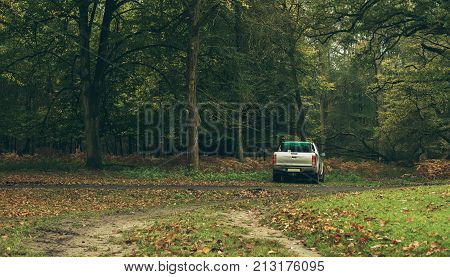 Pick-up truck parked in autumn forest. Wildlifepark Dulmen Germany.